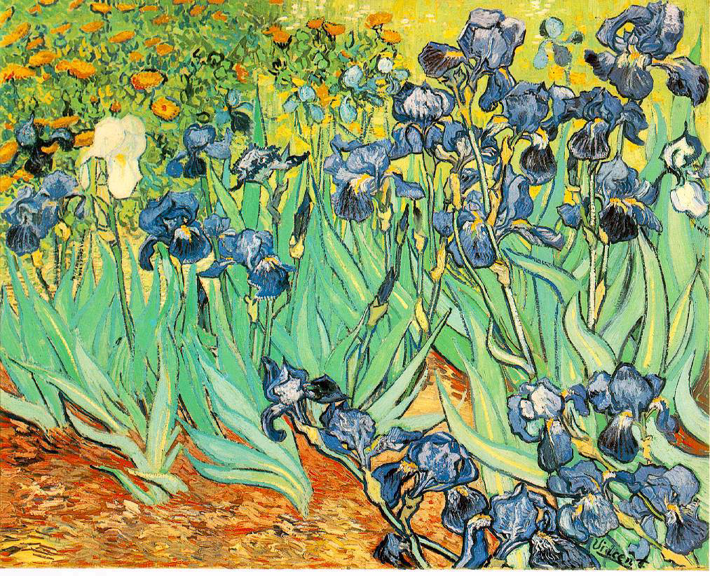 Van Gogh: Irises